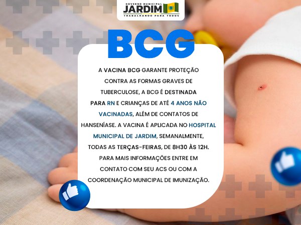BRASIL CIDADE GRANDE (BCG) 